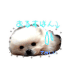 2021.521mk（個別スタンプ：11）