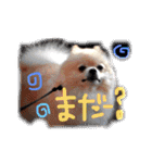 2021.521mk（個別スタンプ：31）