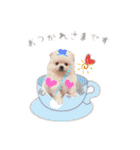 2021.521mk（個別スタンプ：33）