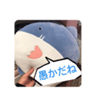 煽るよ！サメちゃん！（個別スタンプ：1）