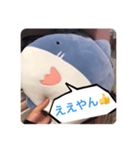 煽るよ！サメちゃん！（個別スタンプ：8）