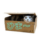 ふう・らい・ぼうのスタンプ（個別スタンプ：4）