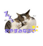 ふう・らい・ぼうのスタンプ（個別スタンプ：6）