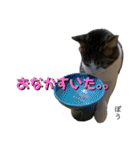 ふう・らい・ぼうのスタンプ（個別スタンプ：9）