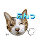 ふう・らい・ぼうのスタンプ（個別スタンプ：15）