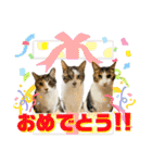 ふう・らい・ぼうのスタンプ（個別スタンプ：32）