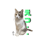 ふう・らい・ぼうのスタンプ（個別スタンプ：35）
