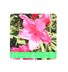 女子と空と花（個別スタンプ：2）