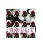 女子と空と花（個別スタンプ：8）