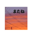 女子と空と花（個別スタンプ：24）