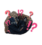 ミニピンCoCo①（個別スタンプ：10）