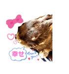 うさーず2（個別スタンプ：10）