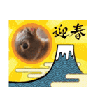 うさスタンプ正月2（個別スタンプ：5）
