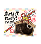 うさスタンプ正月2（個別スタンプ：7）