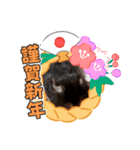 うさスタンプ正月2（個別スタンプ：10）