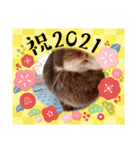 うさスタンプ正月2（個別スタンプ：15）