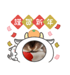 うさスタンプ正月2（個別スタンプ：16）