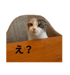 かわいいかーチェ（個別スタンプ：27）