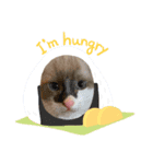 アルクネコーズ（個別スタンプ：3）