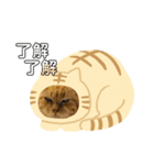アルクネコーズ（個別スタンプ：4）