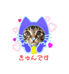 アルクネコーズ（個別スタンプ：8）