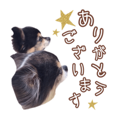 [LINEスタンプ] momo＆tsuku②