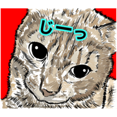 [LINEスタンプ] 武丸のスタンプ1