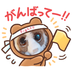 [LINEスタンプ] 森のラプソディ楽団