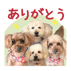 [LINEスタンプ] チーム  ガク