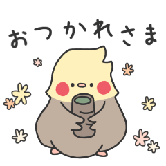 [LINEスタンプ] オカメインコ 日常会話用 1ー1