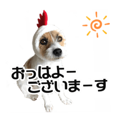[LINEスタンプ] ピコラの毎日 No.5