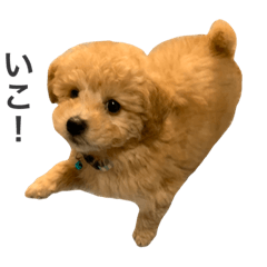 [LINEスタンプ] やまと 1