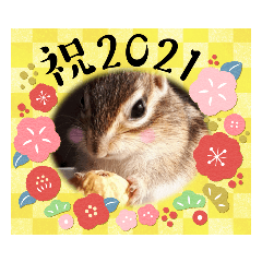 [LINEスタンプ] それいけキキさん5