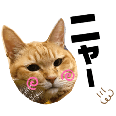 [LINEスタンプ] かわいいかわいいちびーず