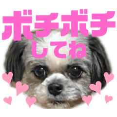 [LINEスタンプ] ひめ♡ranも少し