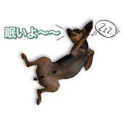 [LINEスタンプ] ミニピンKomugi
