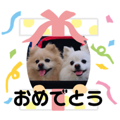 [LINEスタンプ] ゆーたとふーたの日常3