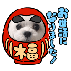 [LINEスタンプ] わんわんわんわんわんわんわんわんわん