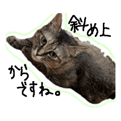 [LINEスタンプ] おみゆ 使いやすく