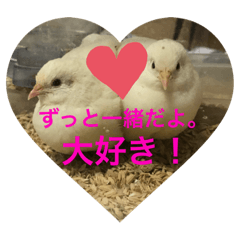 [LINEスタンプ] ヒメウズラ感情