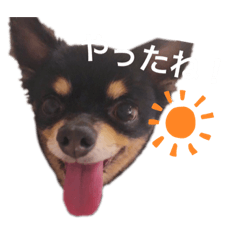 [LINEスタンプ] 佐々木小太郎スタンプ