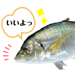 [LINEスタンプ] 中西商店の仲間達