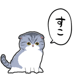 [LINEスタンプ] しゃべるスコティッシュフォールド