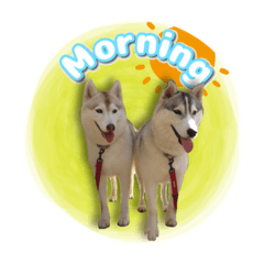 [LINEスタンプ] 茨城犬ショコバニラ