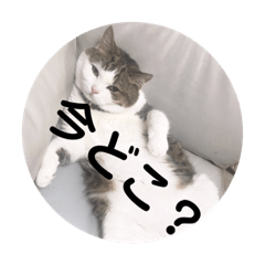 [LINEスタンプ] 毎日虎徹スタンプ