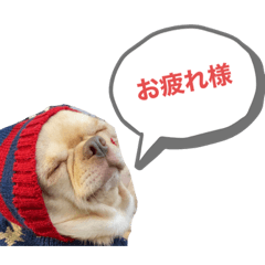 [LINEスタンプ] どーも。maruです。