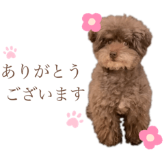 [LINEスタンプ] 堀 犬太郎