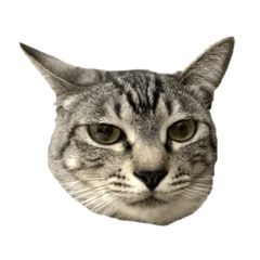 [LINEスタンプ] チュッチュ・ブラウニー・ガブリエル
