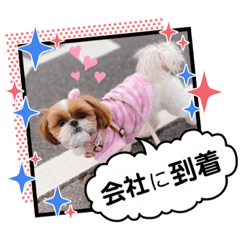 [LINEスタンプ] モフモフのお友達♥