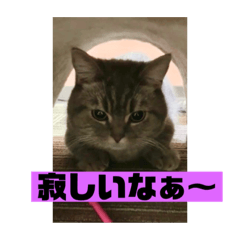 [LINEスタンプ] zero＆りん4